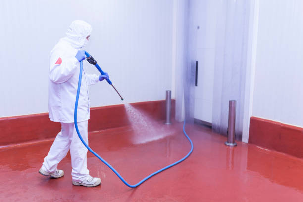 Professional Pressure Washing Services in Yeagertown, PA